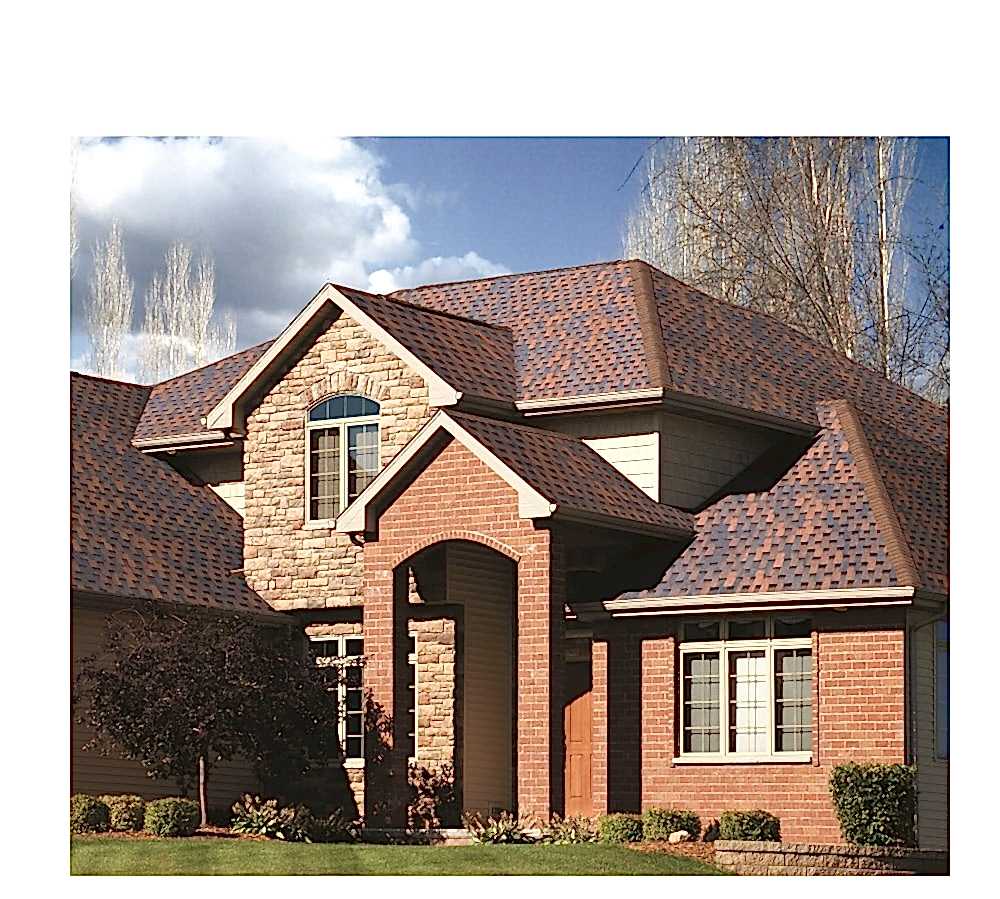 BTM SHINGLE DRAGON SOMON 3 M2